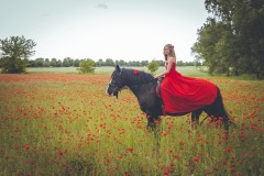Pferde-Mohn-Shooting-32