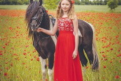 Pferde-Mohn-Shooting-60