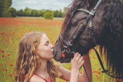 Pferde-Mohn-Shooting-75