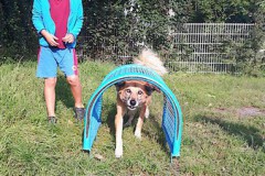 Tiergestützte-Förderung0002