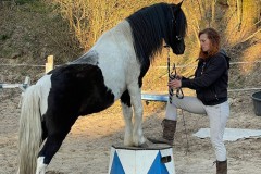 zwischendurch1